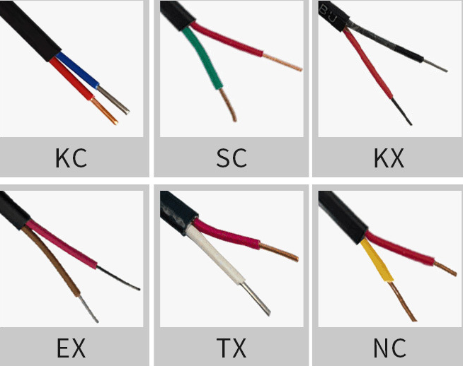 補(bǔ)償導(dǎo)線BC-GA-VVP-2*1.5