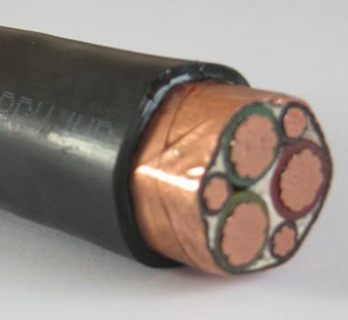 低煙無(wú)鹵電纜WDZ-BPYJEP2-3*185+3*35